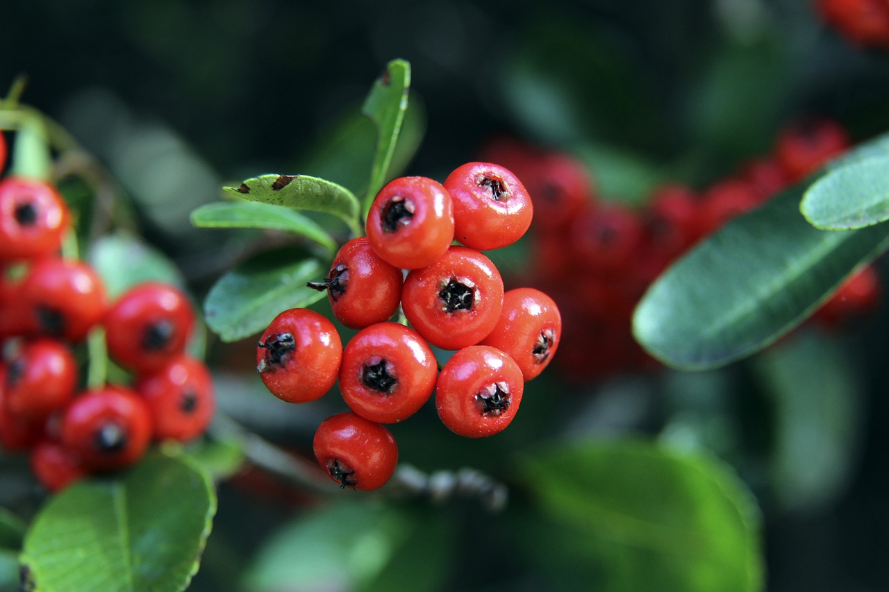 ☘️绿军本赛季第23次单场投进20+三分 NBA历史单赛季最多.